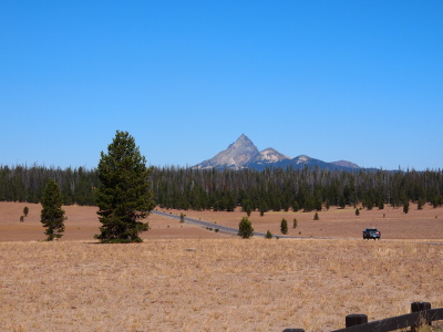 [In the background is a forest of evergreens and some mountains, but in the mid and foreground are only a couple of scattered trees growing in the light brown ground. There is a road in the middle of this 'nothingness'.]